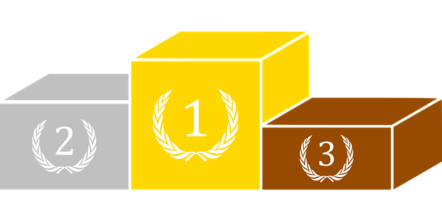Top 10 des revues les plus empruntées en 2024
