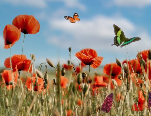 Horaires vacances de printemps